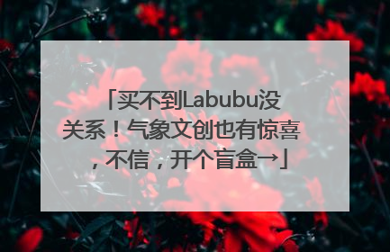买不到Labubu没关系！气象文创也有惊喜，不信，开个盲盒→