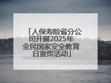 人保寿险省分公司开展2025年全民国家安全教育日宣传活动