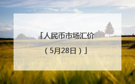 人民币市场汇价（5月28日）