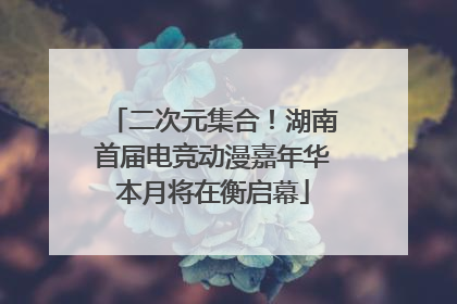 二次元集合！湖南首届电竞动漫嘉年华本月将在衡启幕