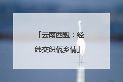 云南西盟：经纬交织佤乡情
