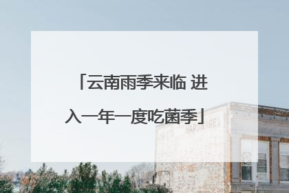 云南雨季来临 进入一年一度吃菌季