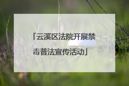 云溪区法院开展禁毒普法宣传活动
