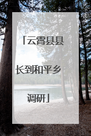 云霄县县长到和平乡调研