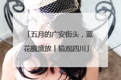五月的广安街头，蓝花楹盛放丨镜观四川