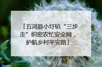 五河县小圩镇“三步走”织密农忙安全网，护航乡村平安路