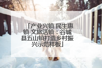 产业兴镇 民生惠镇 文旅活镇：谷城县五山镇打造乡村振兴示范样板
