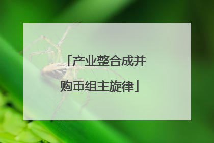 产业整合成并购重组主旋律