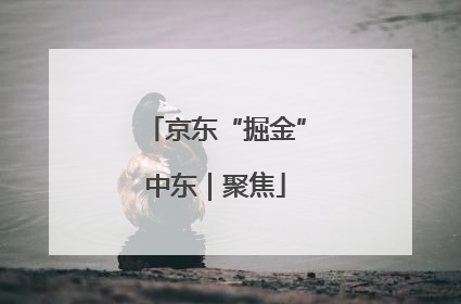 京东“掘金”中东｜聚焦