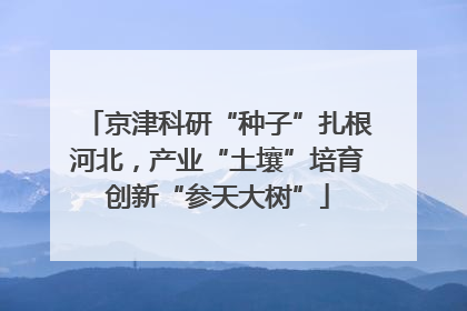 京津科研“种子”扎根河北，产业“土壤”培育创新“参天大树”