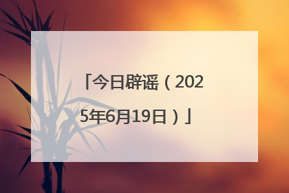 今日辟谣（2025年6月19日）