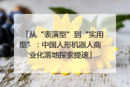 从“表演型”到“实用型”：中国人形机器人商业化落地探索提速