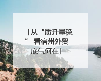 从“质升量稳” 看宿州外贸底气何在