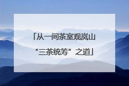 从一间茶室观岚山“三茶统筹”之道