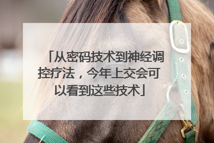 从密码技术到神经调控疗法，今年上交会可以看到这些技术
