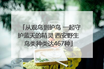 从观鸟到护鸟 一起守护蓝天的精灵 西安野生鸟类种类达467种