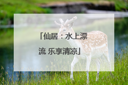 仙居：水上漂流 乐享清凉