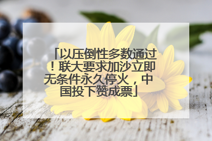 以压倒性多数通过！联大要求加沙立即无条件永久停火，中国投下赞成票