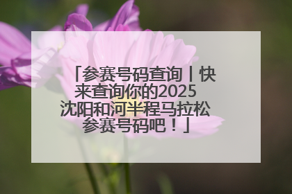 参赛号码查询丨快来查询你的2025沈阳和河半程马拉松参赛号码吧！