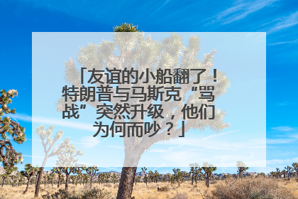 友谊的小船翻了！特朗普与马斯克“骂战”突然升级，他们为何而吵？