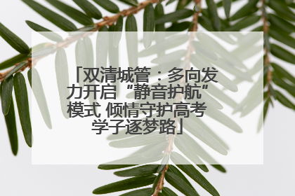 双清城管：多向发力开启“静音护航”模式 倾情守护高考学子逐梦路