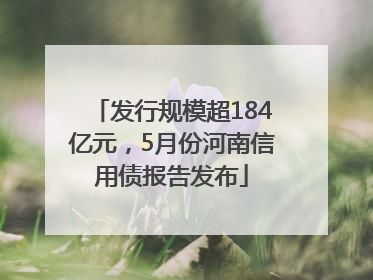 发行规模超184亿元，5月份河南信用债报告发布