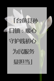 台前县孙口镇：暖心守护践初心 为民服务显担当