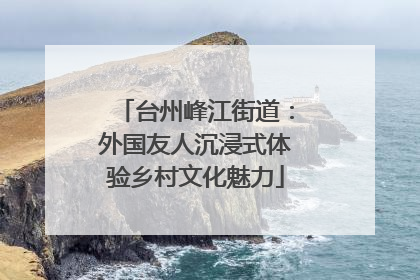 台州峰江街道：外国友人沉浸式体验乡村文化魅力
