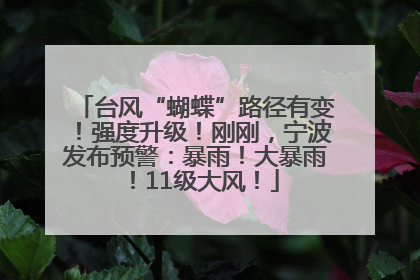 台风“蝴蝶”路径有变！强度升级！刚刚，宁波发布预警：暴雨！大暴雨！11级大风！