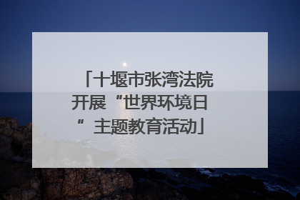 十堰市张湾法院开展“世界环境日”主题教育活动