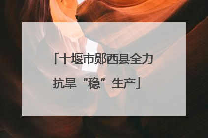 十堰市郧西县全力抗旱“稳”生产