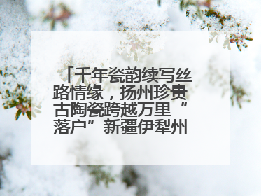 千年瓷韵续写丝路情缘，扬州珍贵古陶瓷跨越万里“落户”新疆伊犁州博物馆