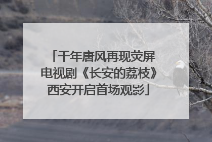 千年唐风再现荧屏 电视剧《长安的荔枝》西安开启首场观影