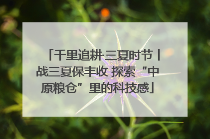 千里追耕·三夏时节丨战三夏保丰收 探索“中原粮仓”里的科技感