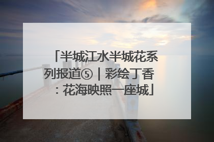 半城江水半城花系列报道⑤｜彩绘丁香：花海映照一座城