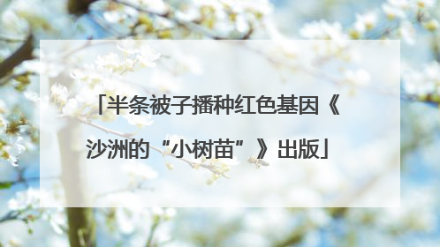 半条被子播种红色基因《沙洲的“小树苗”》出版