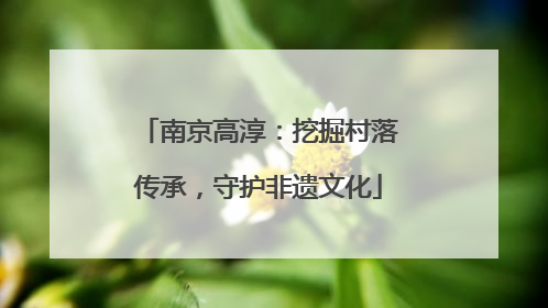 南京高淳：挖掘村落传承，守护非遗文化