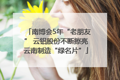 南博会5年“老朋友” 云铝股份不断擦亮云南制造“绿名片”
