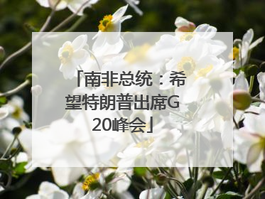 南非总统：希望特朗普出席G20峰会