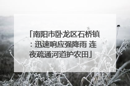 南阳市卧龙区石桥镇：迅速响应强降雨 连夜疏通河道护农田