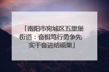 南阳市宛城区五里堡街道：奋楫笃行勇争先 实干奋进结硕果