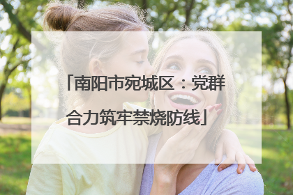 南阳市宛城区：党群合力筑牢禁烧防线