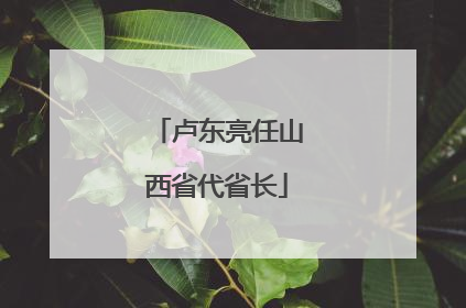 卢东亮任山西省代省长