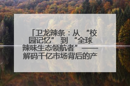 卫龙辣条：从 “校园记忆” 到 “全球辣味生态领航者”——解码千亿市场背后的产品创新与全链路破圈