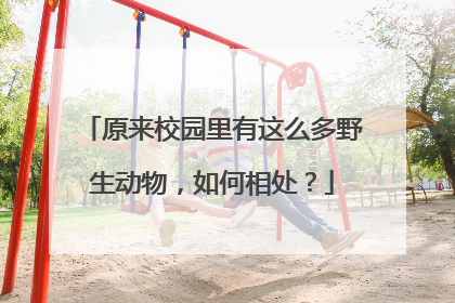 原来校园里有这么多野生动物，如何相处？