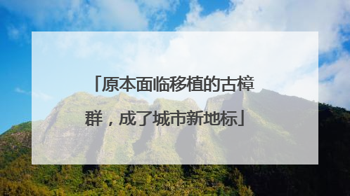 原本面临移植的古樟群，成了城市新地标