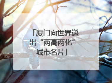 厦门向世界递出“两高两化”城市名片