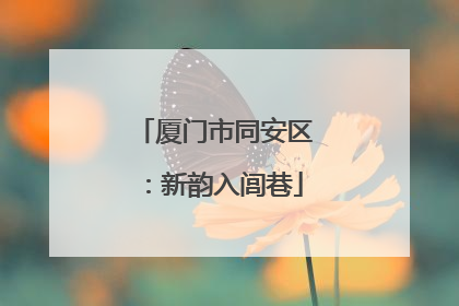 厦门市同安区：新韵入闾巷