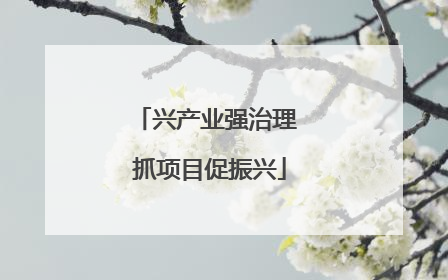 兴产业强治理 抓项目促振兴
