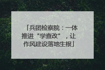 兵团检察院：一体推进“学查改”，让作风建设落地生根